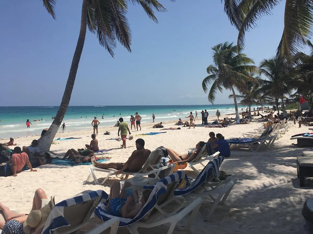 Appartement Playa Estudios 32 Playa del Carmen Mexique